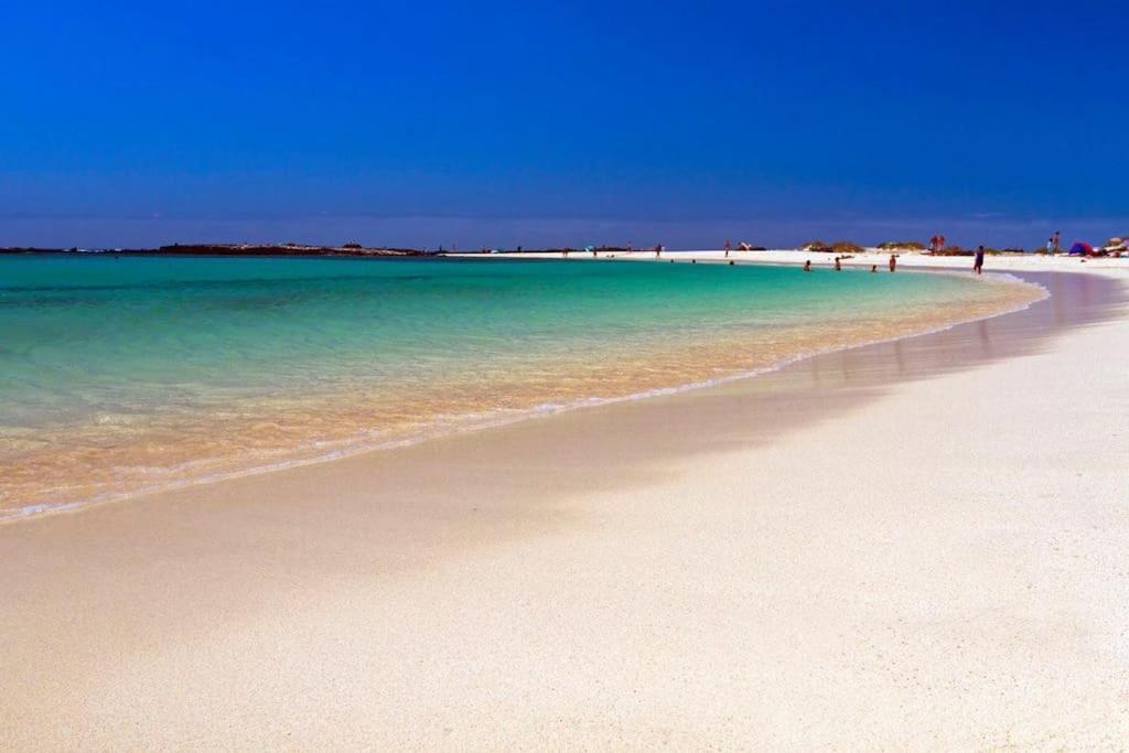 Sun Cotillo